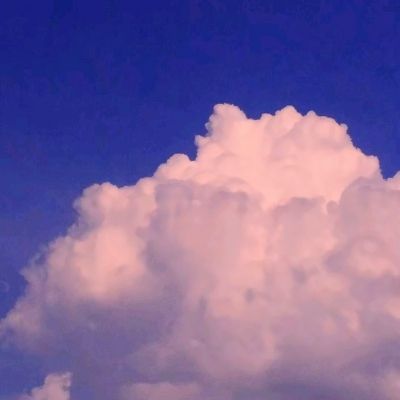 将军留步百度版下载