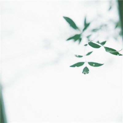 飞剑剑来世界官方下载